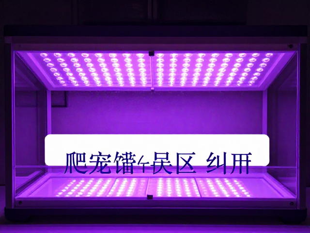 爬宠饲养误区纠正，UVB配置与合法饲养要求全解析