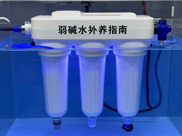 弱碱水过滤系统维护与珊瑚光照射，水质优化与设备保养指南