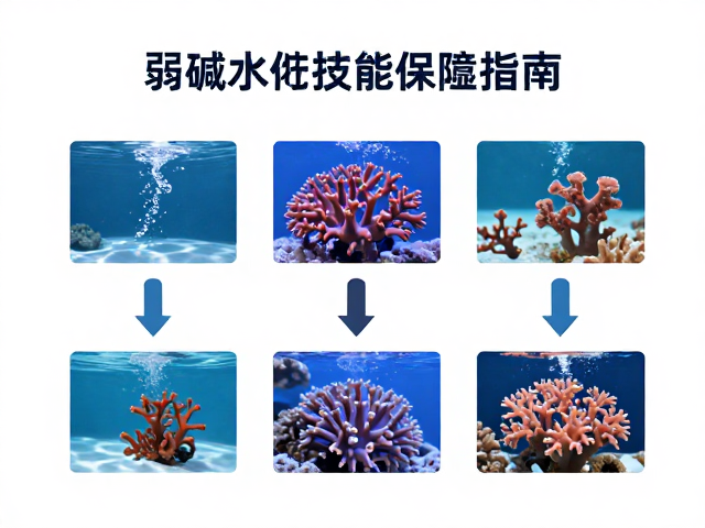 弱碱水过滤系统维护与珊瑚光照射，水质优化与设备保养指南