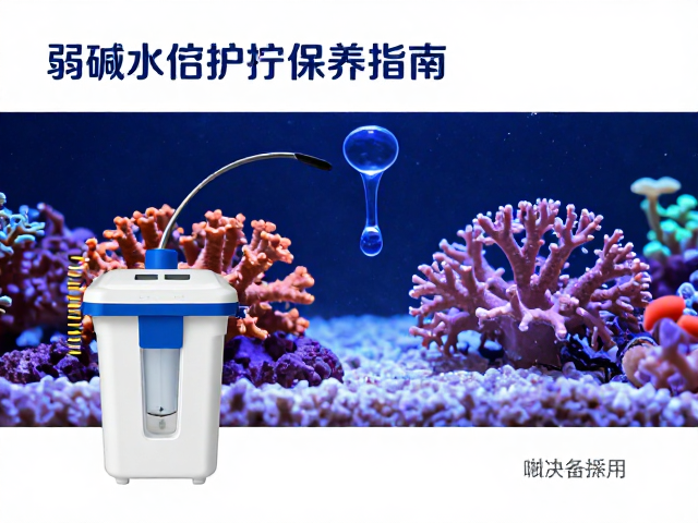 弱碱水过滤系统维护与珊瑚光照射，水质优化与设备保养指南