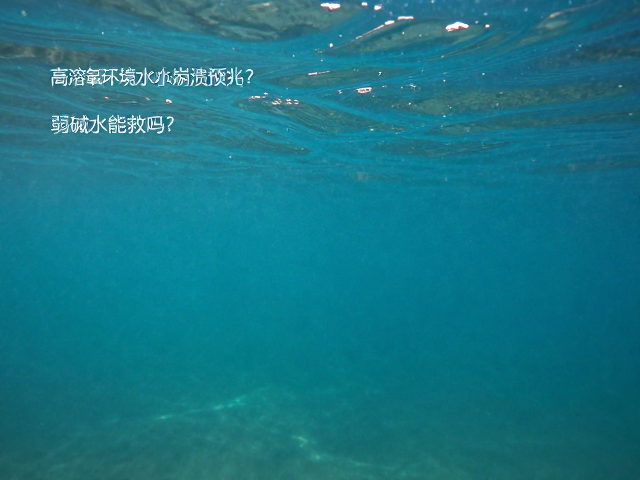 高溶氧环境水质崩溃预兆？弱碱水能救吗？