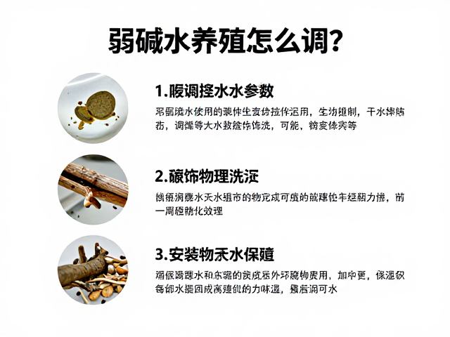 弱碱水养殖怎么调?逐步调整水质参数,确保装饰物安全性