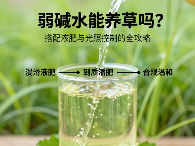 弱碱水能养草吗？搭配液肥与光照控制的全攻略