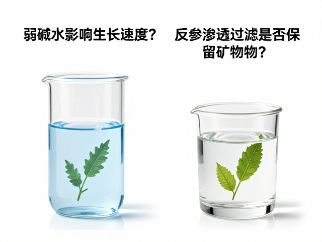弱碱水影响生长速度?反渗透过滤是否保留矿物质?