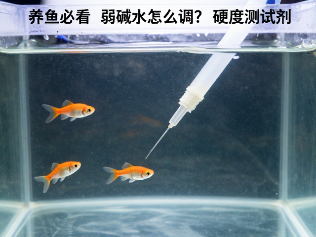 养鱼必看，弱碱水怎么调？硬度测试剂，每日观察鱼只状态