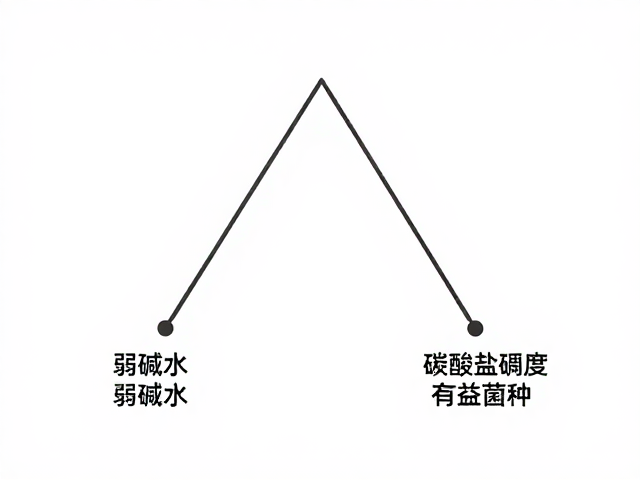 弱碱水，有益菌种，碳酸盐硬度，健康饮水的黄金三角公式