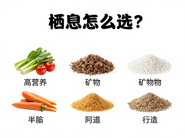 上层栖息怎么选？高营养密度，矿物质补充，打造宠物健康饮食