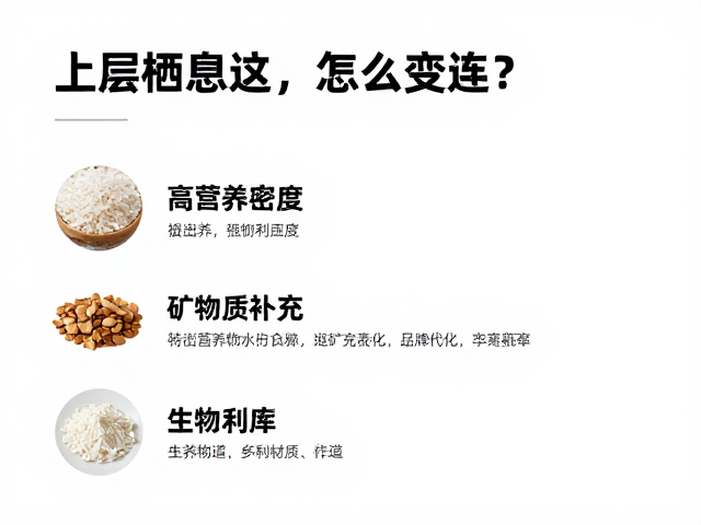 上层栖息怎么选？高营养密度，矿物质补充，打造宠物健康饮食