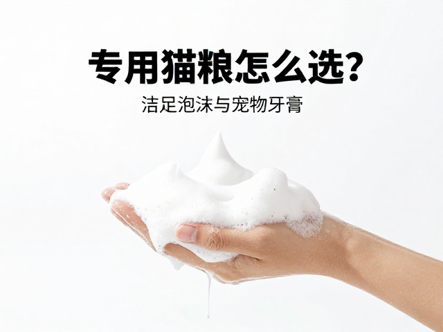 专用猫粮怎么选?洁足泡沫与宠物牙膏清洁攻略