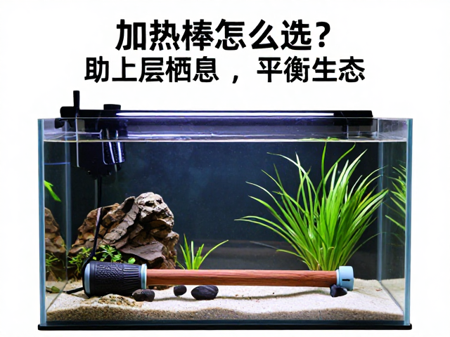 加热棒怎么选？助上层栖息，平衡生态，新手避坑指南