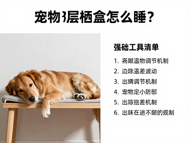 换季温差大，宠物上层栖息怎么睡？基础工具清单帮你适应