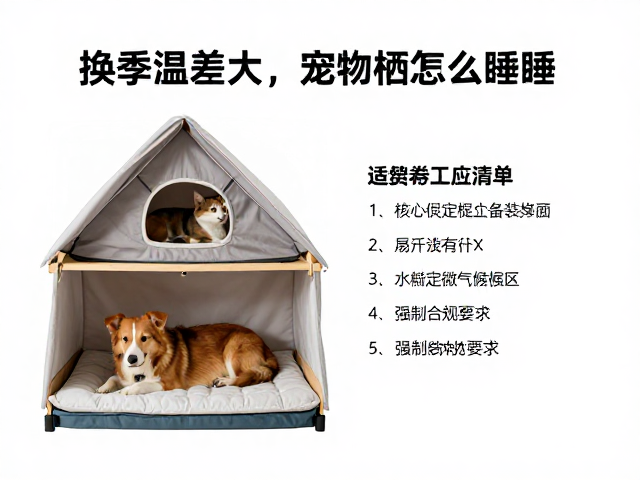 换季温差大，宠物上层栖息怎么睡？基础工具清单帮你适应