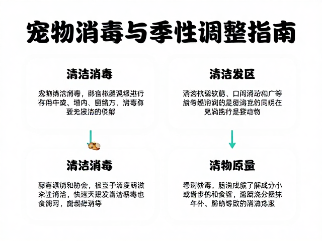 宠物饲养误区,清洁消毒频率与季节性喂食调整指南