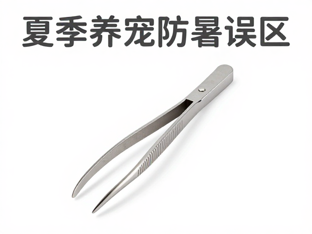 夏季养宠防暑误区,专用夹子镊子如何正确使用?