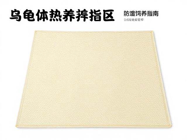 纠正饲养误区，恒温加热垫防腐皮烂甲，乌龟健康养护指南