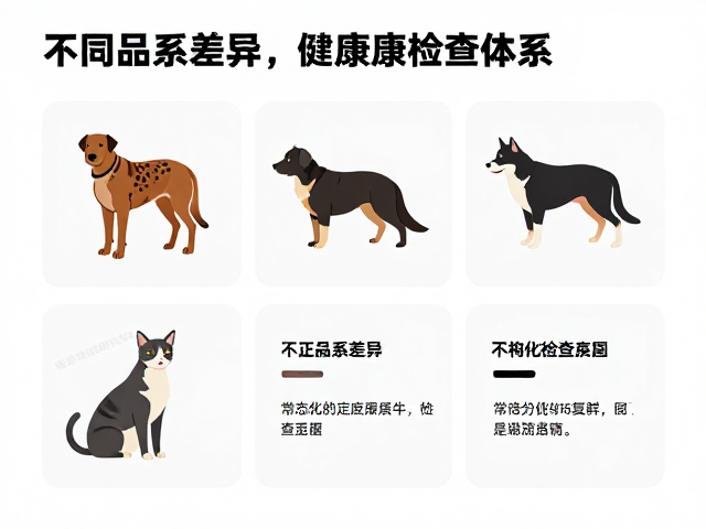 纠正饲养误区,不同品系差异与健康检查指南