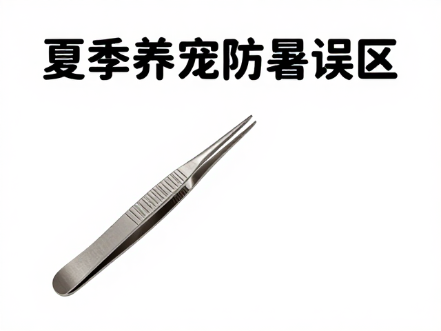 夏季养宠防暑误区,专用夹子镊子如何正确使用?