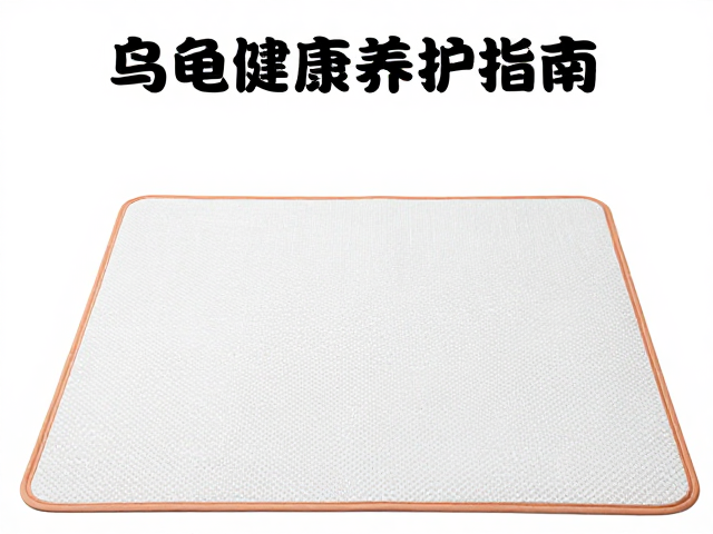 纠正饲养误区,恒温加热垫防腐皮烂甲,乌龟健康养护指南