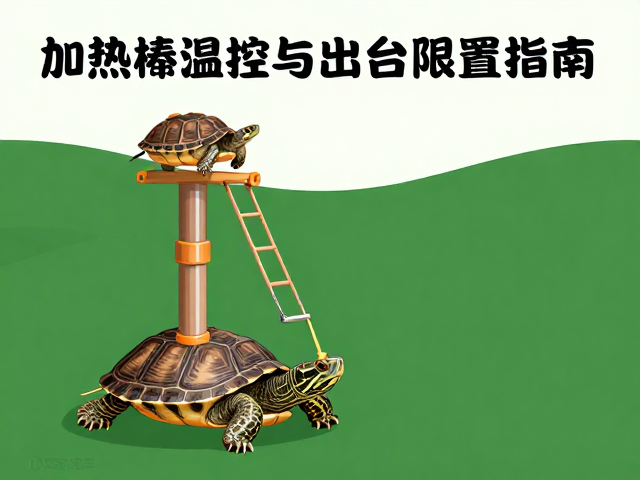 乌龟饲养误区，加热棒温控与晒台攀爬结构正确设置指南