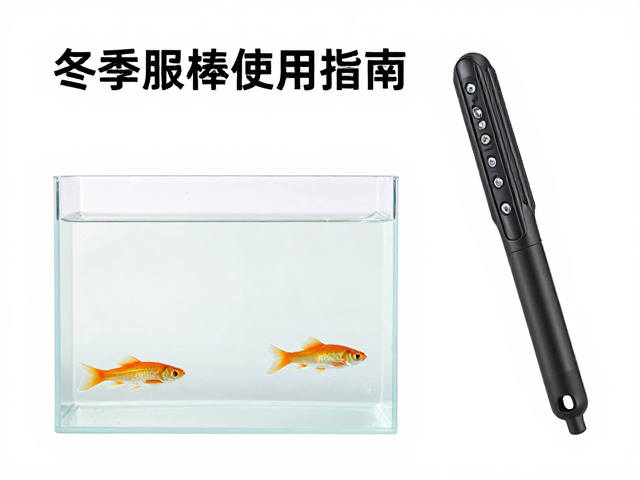 冬季加热棒使用指南，需隔离亲鱼的上层栖息鱼养护技巧