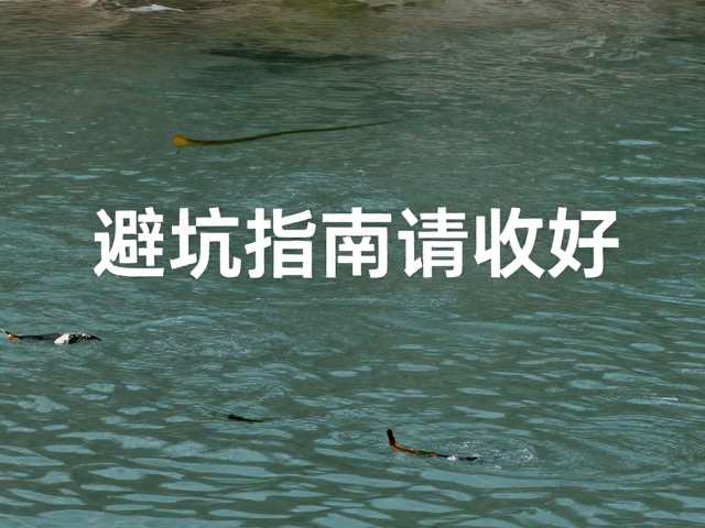 水流平缓适合群游？互动性一般，这份避坑指南请收好