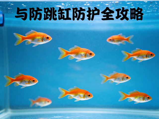 群游鱼怎么选？背景色搭配与防跳缸防护全攻略
