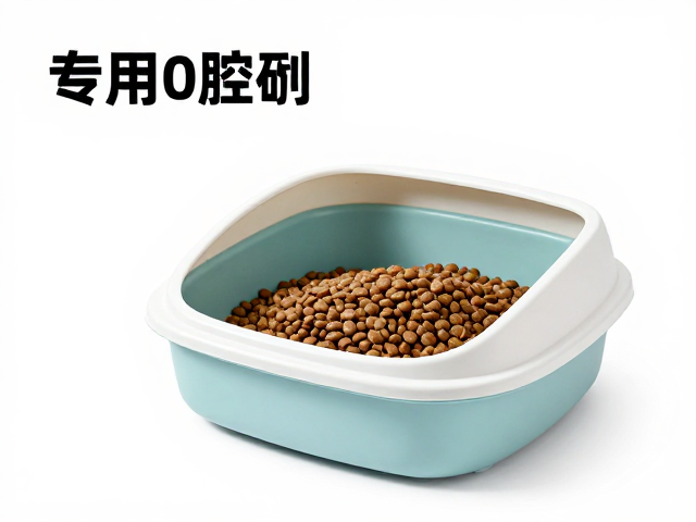 专用猫粮,开放式猫砂盆,刷牙频率与猫咪口腔健康指南