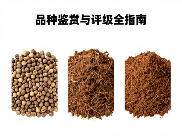 饲养误区纠正,陶粒椰土沙土怎么选?品种鉴赏与评级全指南