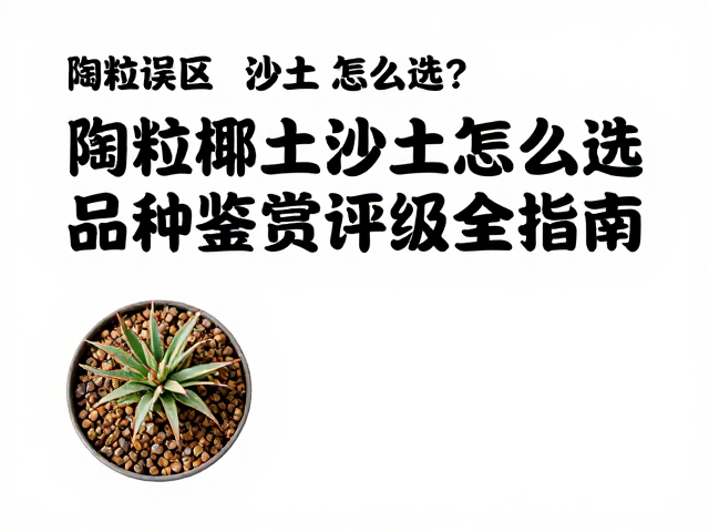 饲养误区纠正,陶粒椰土沙土怎么选?品种鉴赏与评级全指南