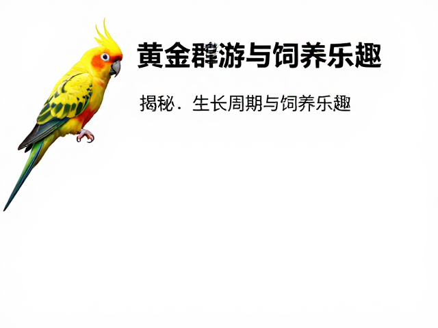 黄金鹦鹉喜爱群游？揭秘其生长周期与饲养乐趣