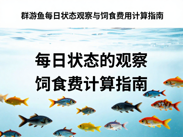群游鱼每日状态观察与饲料费用计算指南