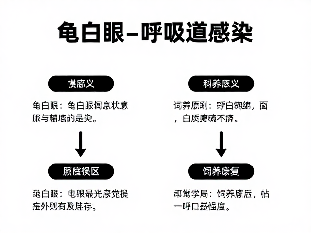 龟白眼与呼吸道感染？新手避坑指南，纠正饲养误区，快速康复