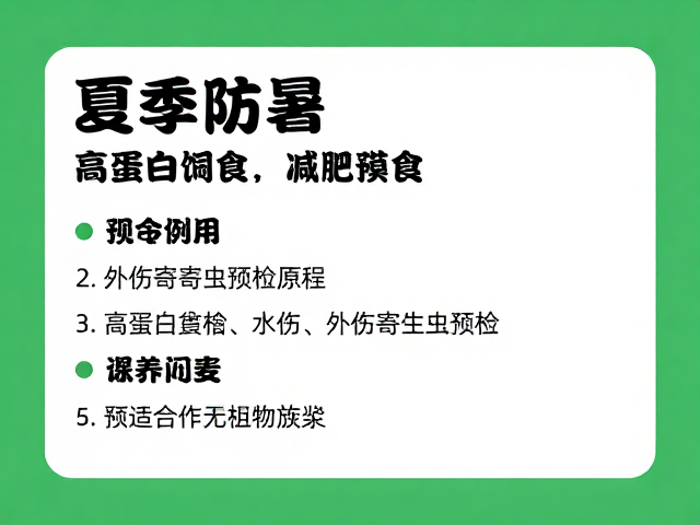 夏季防暑,高蛋白饲料,外伤寄生虫预检,宠物养护指南