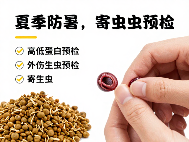 夏季防暑,高蛋白饲料,外伤寄生虫预检,宠物养护指南