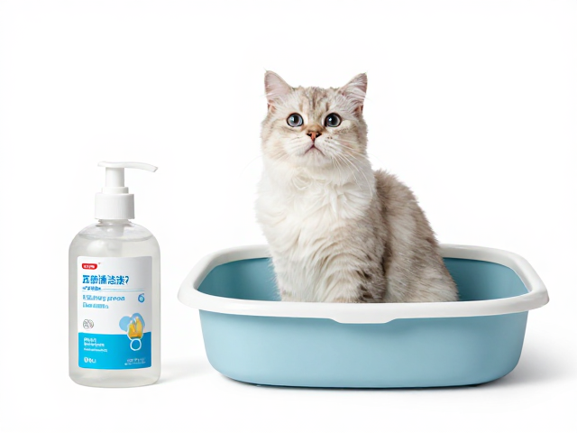 专用猫粮怎么选?耳部清洁液与猫砂盆搭配指南,养猫不踩坑