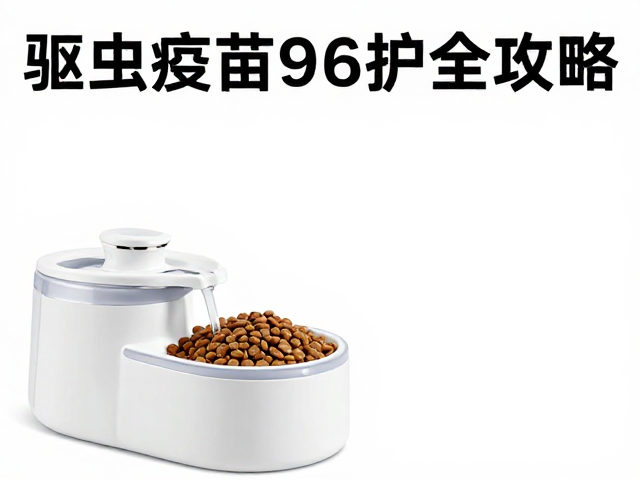 专用猫粮搭配流动饮水机,驱虫疫苗防护全攻略