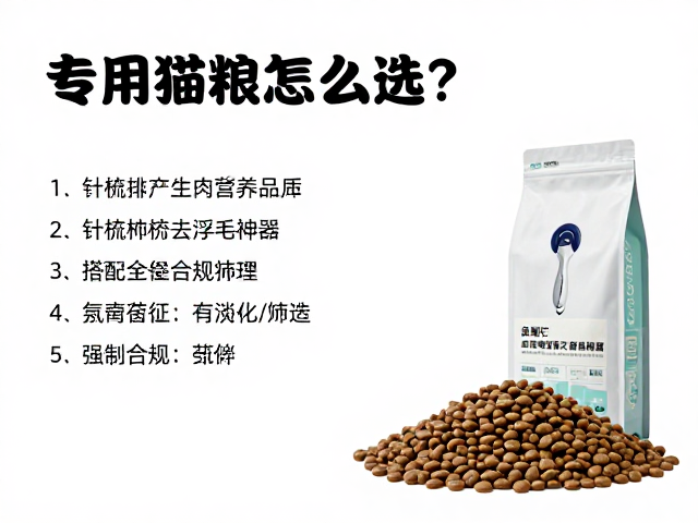 专用猫粮怎么选?针梳排梳去浮毛神器,搭配空气净化器养猫更省心