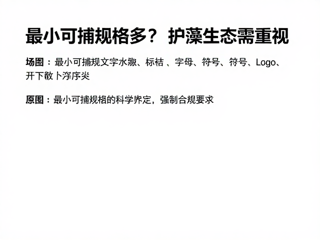 野生种群下降！最小可捕规格多少？护藻生态需重视