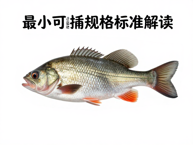 野生草食性鱼类资源下降,最小可捕规格标准解读