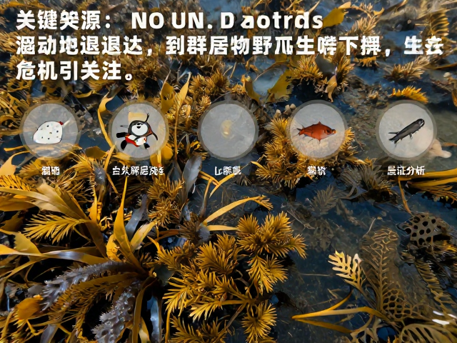 海草床退化致群居动物野生种群下降，生态危机引关注