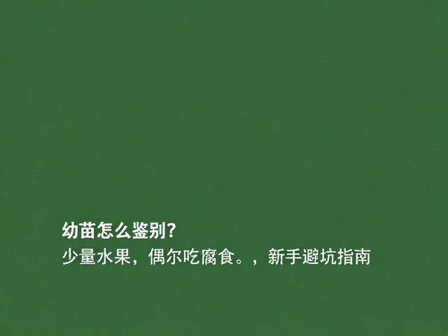 幼苗怎么鉴别?少量水果,偶尔吃腐食,新手避坑指南