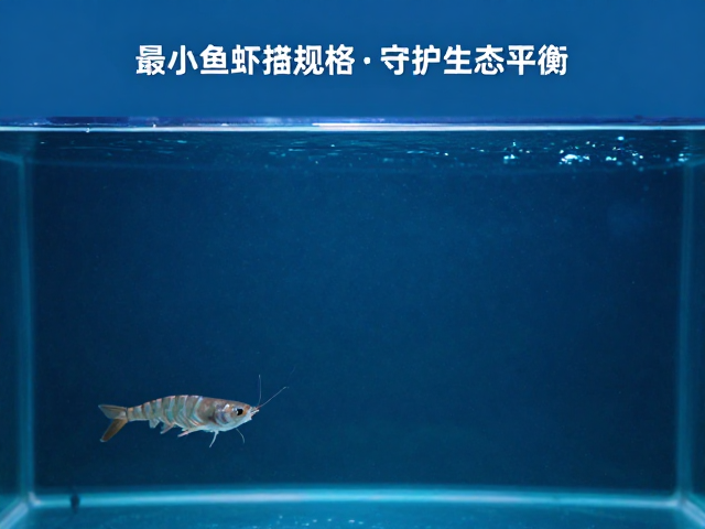 野生鱼虾减少？虚拟水族馆体验，最小可捕规格，守护生态平衡
