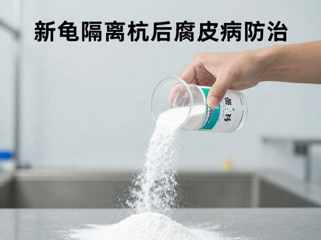 新龟隔离检疫后腐皮病防治,抗生素药粉撒布正确用法
