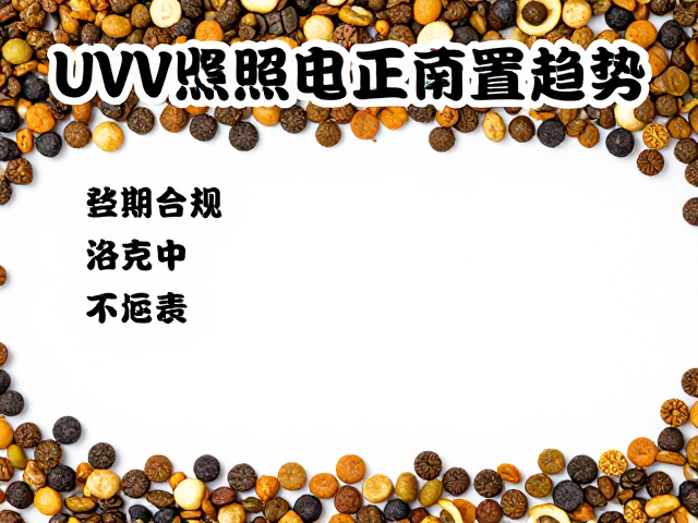 龟粮饲养误区与价格趋势,UVB光照正确配置指南