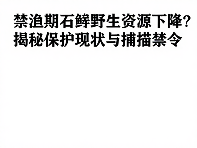 禁渔期石鲈野生资源下降？揭秘保护现状与捕捞禁令