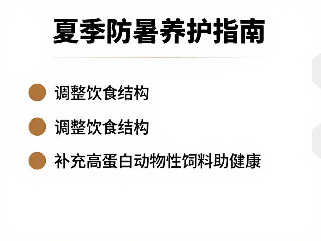 夏季防暑养护指南,调整饮食结构,补充高蛋白动物性饲料助健康