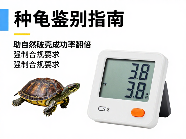 种龟鉴别指南，电子温湿度计实时监测，助自然破壳成功率翻倍