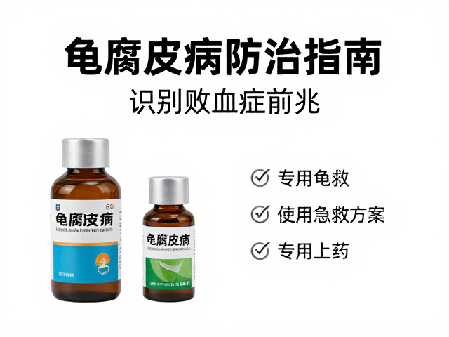 龟腐皮病防治指南，识别败血症前兆，专用龟药急救方案