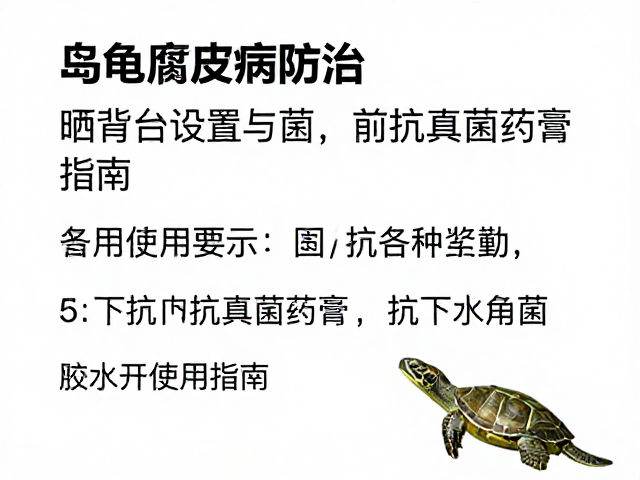 乌龟腐皮病防治,晒背台设置与抗真菌药膏使用指南