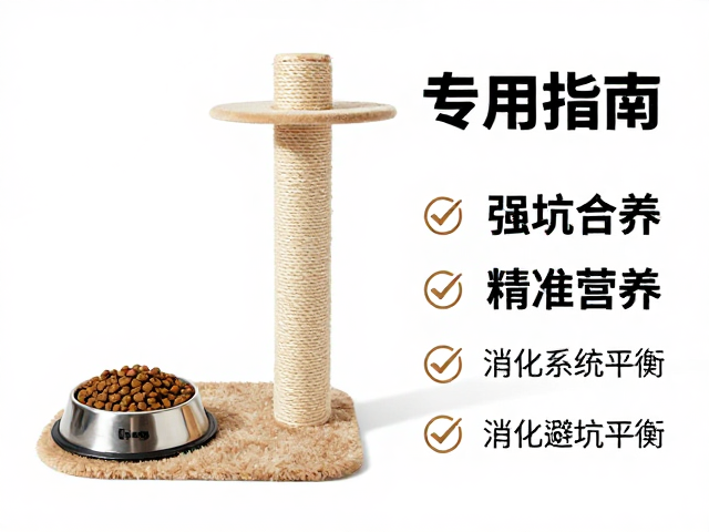 专用猫粮,猫抓柱,不锈钢碗,养猫好物搭配指南与避坑指南